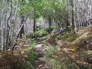 photo thumbnail #1