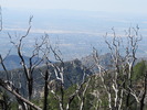 photo thumbnail #2