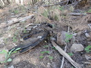 photo thumbnail #3