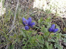photo thumbnail #7