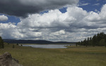 photo thumbnail #2