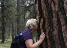 photo thumbnail #6