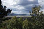 photo thumbnail #11