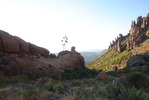 photo thumbnail #1