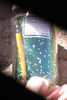 photo thumbnail #9