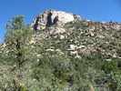 photo thumbnail #1