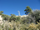 photo thumbnail #14