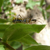 photo thumbnail #2