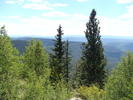 photo thumbnail #9