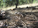 photo thumbnail #2