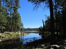 photo thumbnail #5