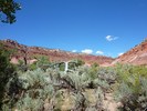 photo thumbnail #6