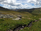 photo thumbnail #10