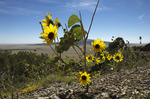 photo thumbnail #12