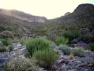 photo thumbnail #9