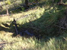 photo thumbnail #2