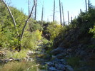 photo thumbnail #11