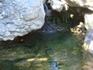photo thumbnail #13