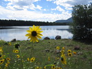 photo thumbnail #2