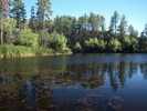 photo thumbnail #4