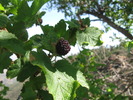 photo thumbnail #8