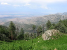 photo thumbnail #13