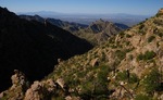photo thumbnail #2