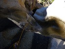 photo thumbnail #11