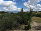 photo thumbnail #7