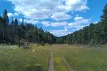 photo thumbnail #10