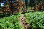 photo thumbnail #12