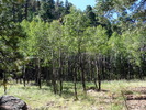 photo thumbnail #8