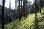 photo thumbnail #9