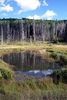 photo thumbnail #10
