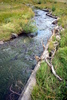 photo thumbnail #13