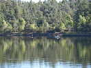 photo thumbnail #11