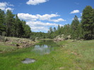 photo thumbnail #8