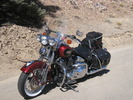 photo thumbnail #1