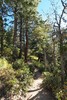 photo thumbnail #6