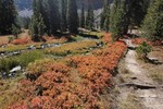 photo thumbnail #15