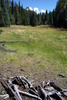 photo thumbnail #11
