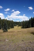 photo thumbnail #14