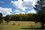 photo thumbnail #15