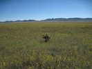 photo thumbnail #1