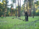 photo thumbnail #6