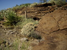 photo thumbnail #5