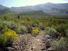 photo thumbnail #6