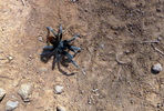 photo thumbnail #1