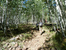 photo thumbnail #3