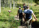 photo thumbnail #5